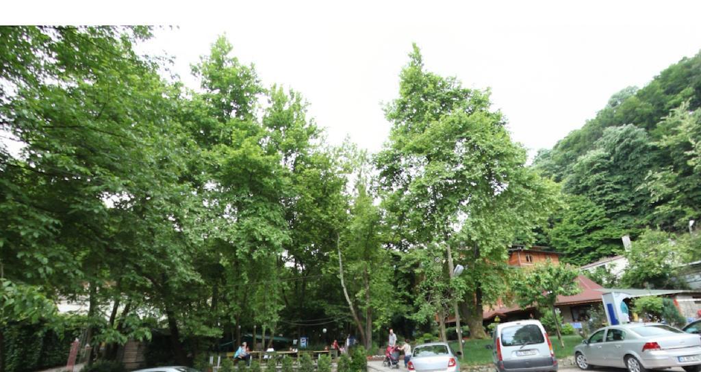 Yazicilar Hotel Masukiye Buitenkant foto
